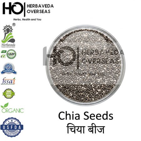 Chia Seeds | चिया बीज | Salvia hispanica