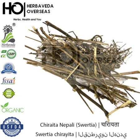 Chiraita Nepali (Swertia) | चिरायता | Swertia chirayita
