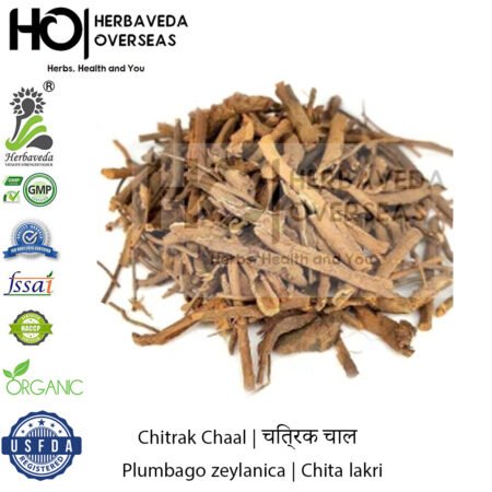 Chitrak Chaal (Ceylon Leadwort Bark) | चित्रक चाल | Plumbago zeylanica