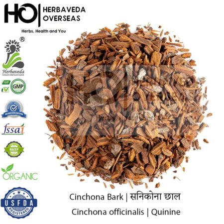 Cinchona Bark | सिनकोना छाल | Cinchona officinalis