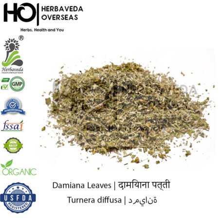 Damiana Leaves | दामियाना पत्ती | Turnera diffusa
