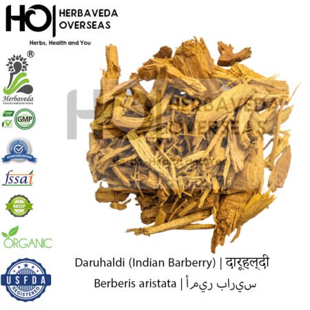 Daruhaldi (Indian Barberry) | दारूहल्दी | Berberis aristata
