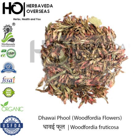 Dhawai Phool (Woodfordia Flowers) | धावई फूल | Woodfordia fruticosa