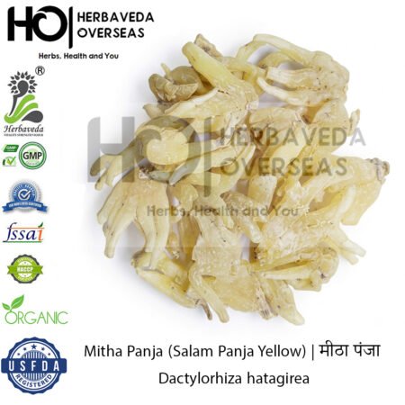Mitha salam Panja (Salam Panja Yellow | मीठा पंजा | Dactylorhiza hatagirea