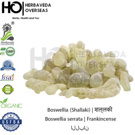 Frankincense Resin (Kundur) | कुन्दुर | Boswellia sacra