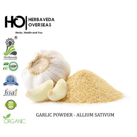 Garlic Powder | लहसुन पाउडर | Allium sativum