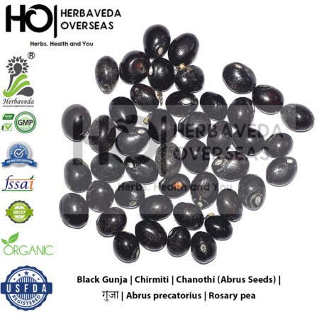 Black Gunja | Chirmiti | Chanothi (Abrus Seeds) | गुंजा | Abrus precatorius