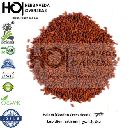 Halam (Garden Cress Seeds) | हलिम | Lepidium sativum