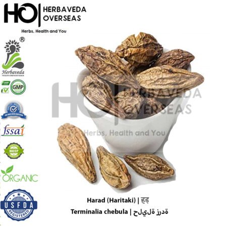 Harad (Haritaki) | हड़ | Terminalia chebula