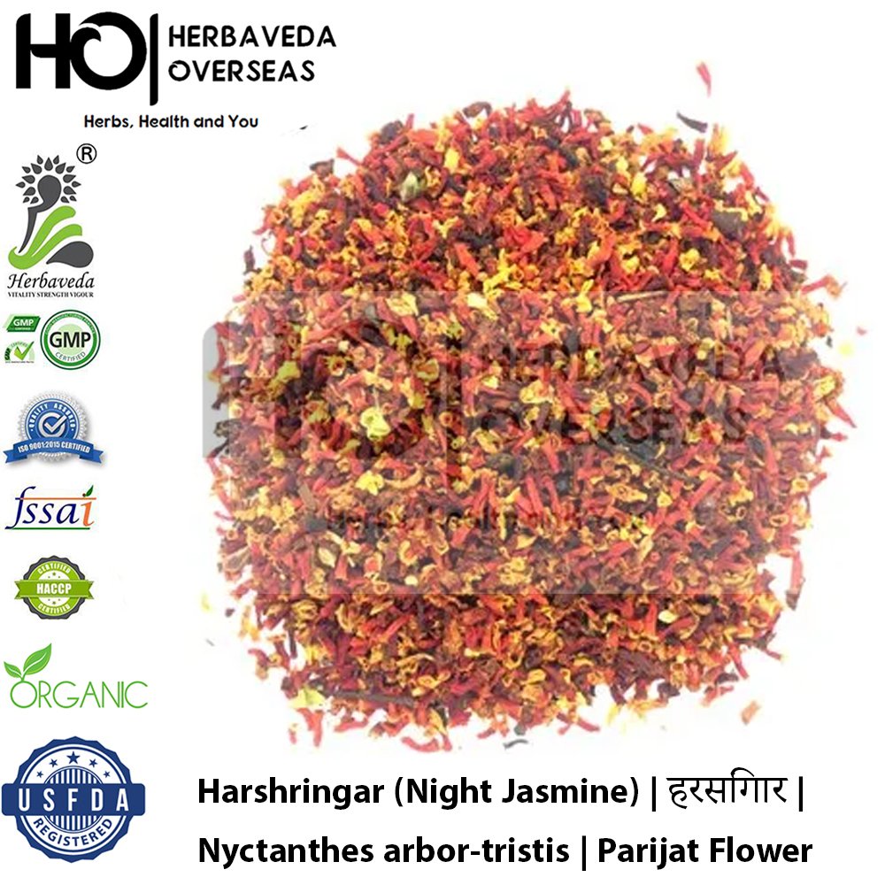 Harshringar (Night Jasmine) | हरसिंगार | Nyctanthes arbor-tristis