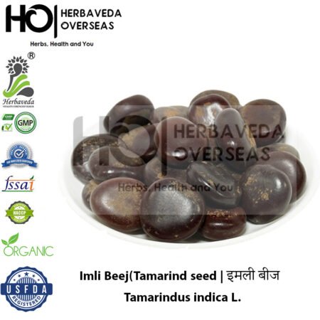 Imli Beej (Tamarind seed | इमली बीज | Tamarindus indica L.
