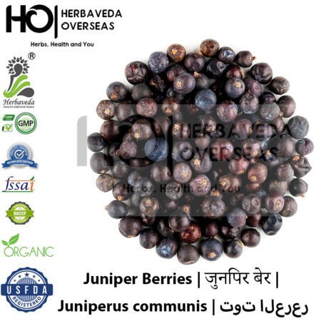 Juniper Berries | जुनिपर बेर | Juniperus communis