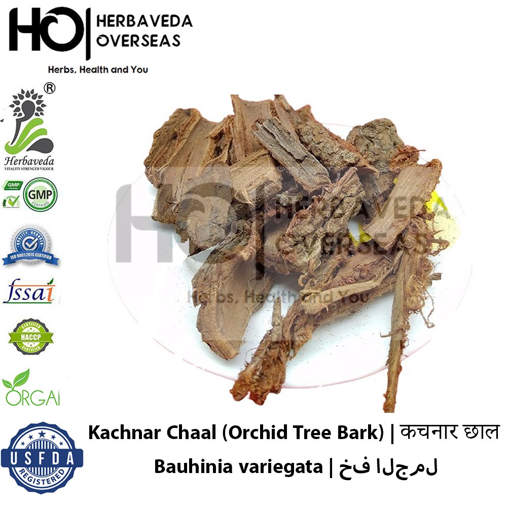 Kachnar Chaal (Orchid Tree Bark) | कचनार छाल | Bauhinia variegata