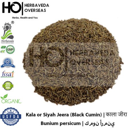 Kala Jeera (Black Cumin) | काला जीरा | Bunium persicum