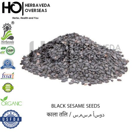 Kala Til (Black Sesame) | काला तिल | Sesamum indicum