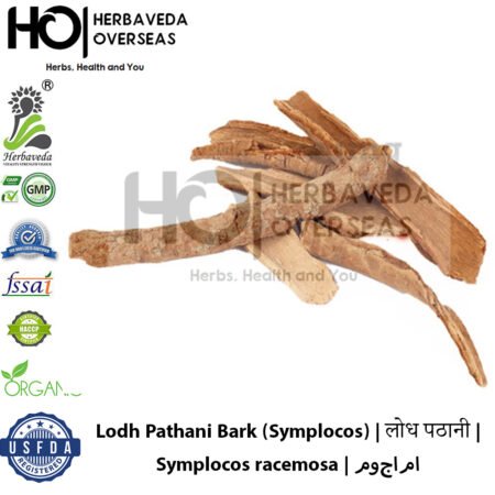 Lodh Pathani Bark (Symplocos) | लोध पठानी | Symplocos racemosa