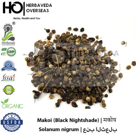 Makoi (Black Nightshade) | मकोय | Solanum nigrum