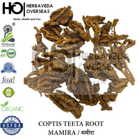 Mamira (Indian Goldthread) | मामीरा | Coptis teeta