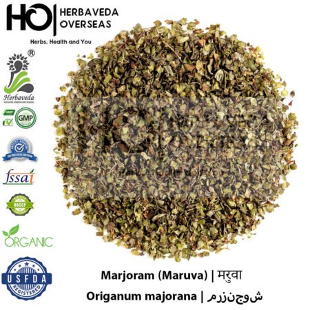 Marjoram (Maruva) | मरुवा | Origanum majorana