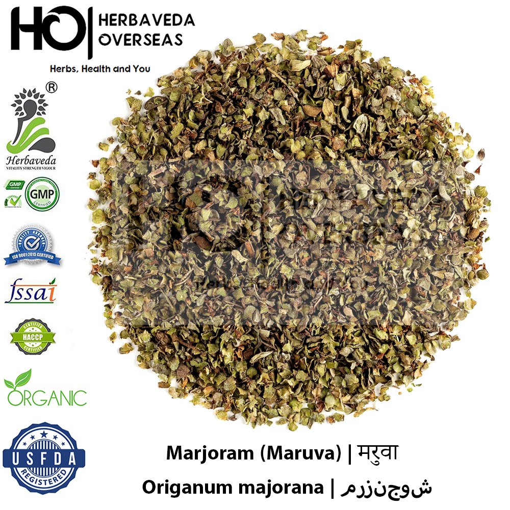 Marjoram (Maruva) | मरुवा | Origanum majorana