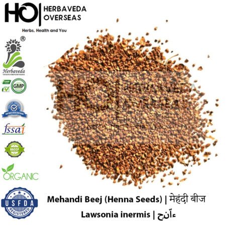 Mehandi Beej (Henna Seeds) | मेहंदी बीज | Lawsonia inermis