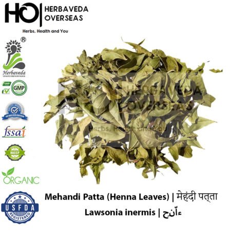 Mehandi Patta (Henna Leaves) | मेहंदी पत्ता | Lawsonia inermis