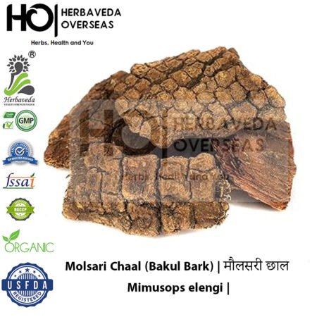 Molsari Chaal (Bakul Bark) | मौलसरी छाल | Mimusops elengi