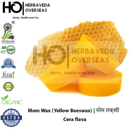 Mom Wax (Yellow Beeswax) | मोम मक्खी | Cera flava