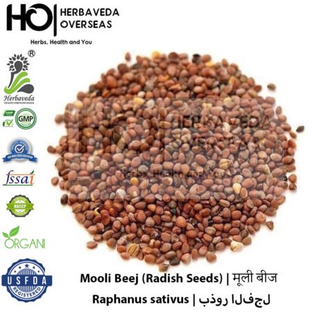 Mooli Beej (Radish Seeds) | मूली बीज | Raphanus sativus