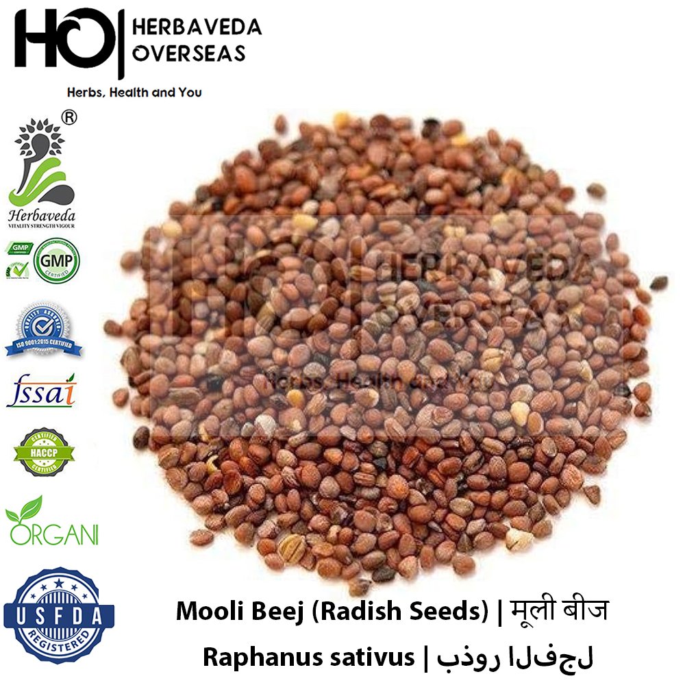 Mooli Beej (Radish Seeds) | मूली बीज | Raphanus sativus
