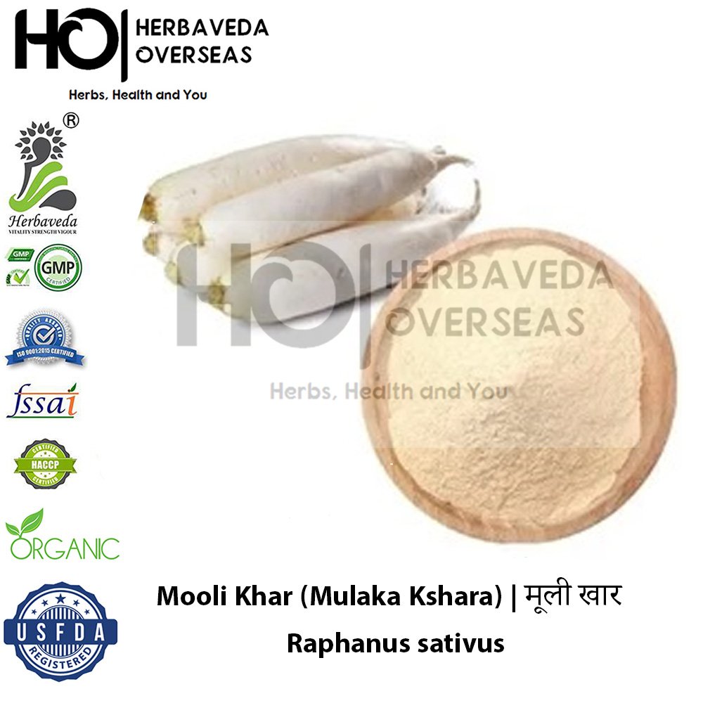Mooli Khar (Mulaka Kshara) | मूली खार | Raphanus sativus