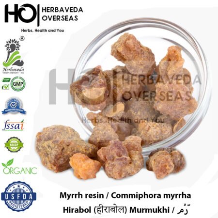 Mor Makkhi (Myrrh) | मोर मक्खी | Commiphora myrrha