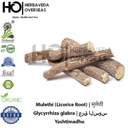 Mulethi (Licorice Root) | मुलेठी | Glycyrrhiza glabra
