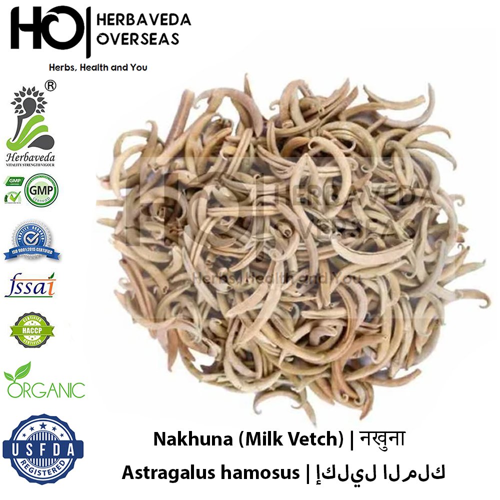 Nakhuna (Milk Vetch) | नखुना | Astragalus hamosus