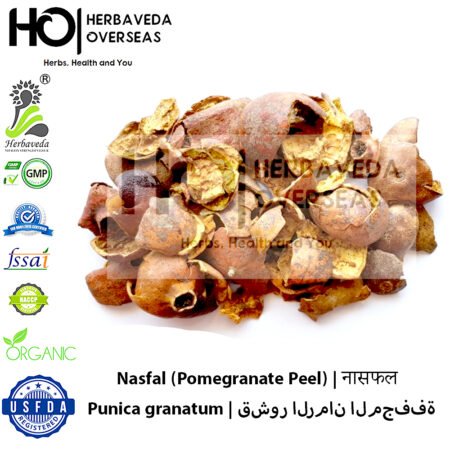 Nasfal (Pomegranate Peel) | नासफल | Punica granatum