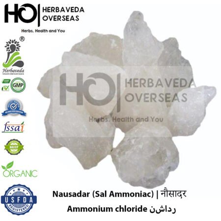 Nausadar (Sal Ammoniac) | नौसादर | Ammonium chloride (NH₄Cl)