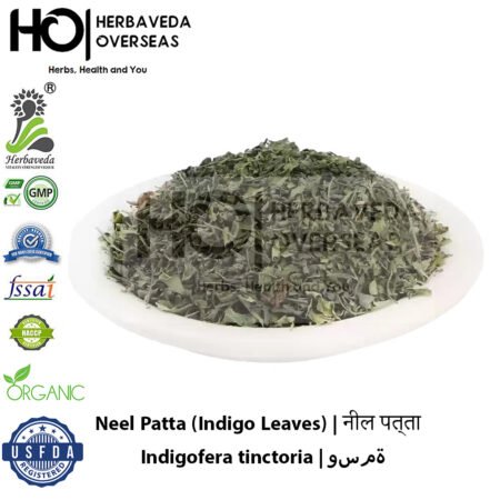 Neel Patta (Indigo Leaves) | नील पत्ता | Indigofera tinctoria