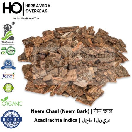 Neem Chaal (Neem Bark) | नीम छाल | Azadirachta indica
