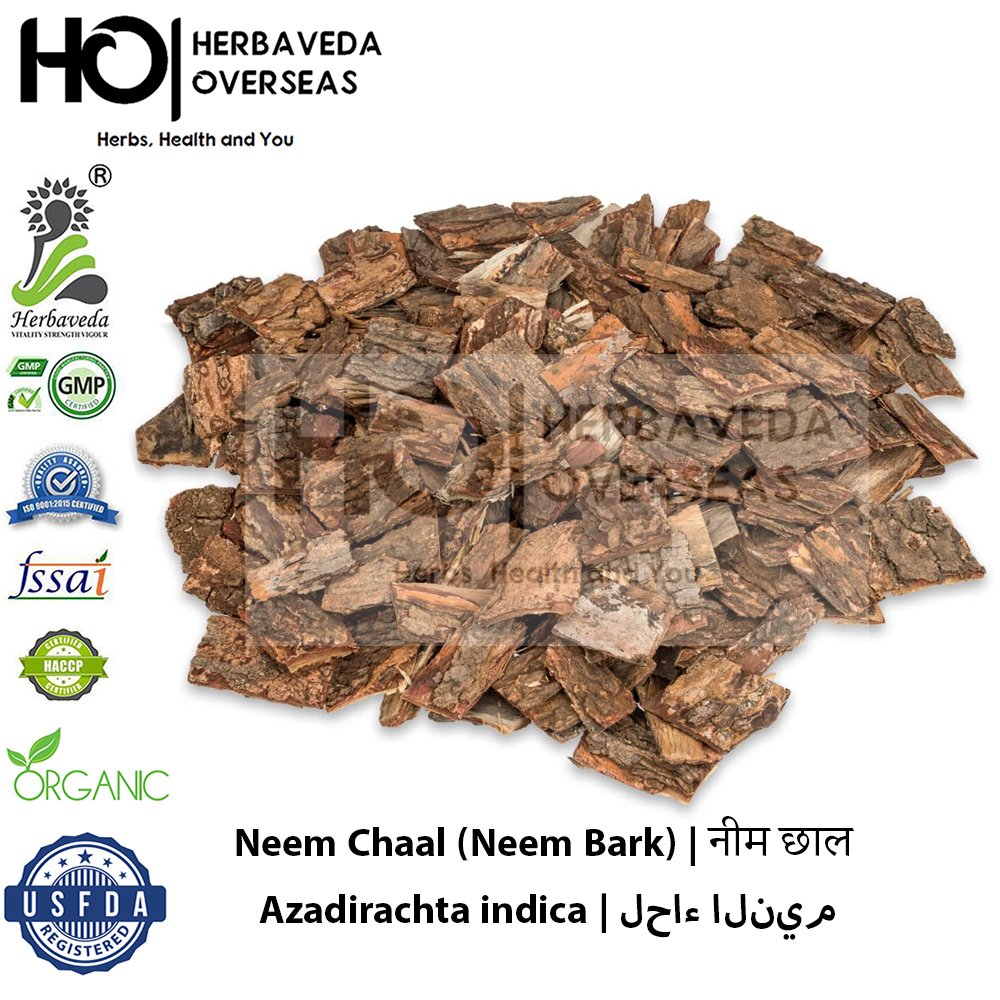 Neem Chaal (Neem Bark) | नीम छाल | Azadirachta indica