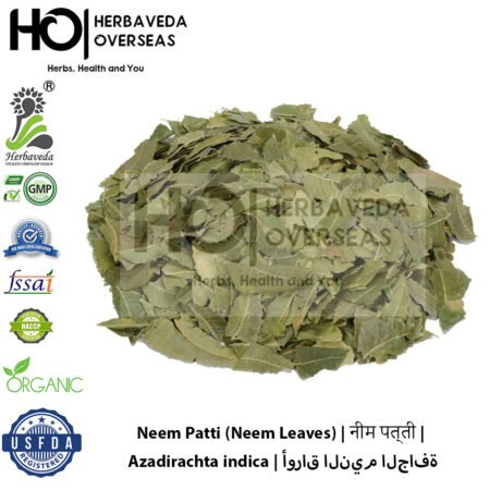 Neem Patti (Neem Leaves) | नीम पत्ती | Azadirachta indica