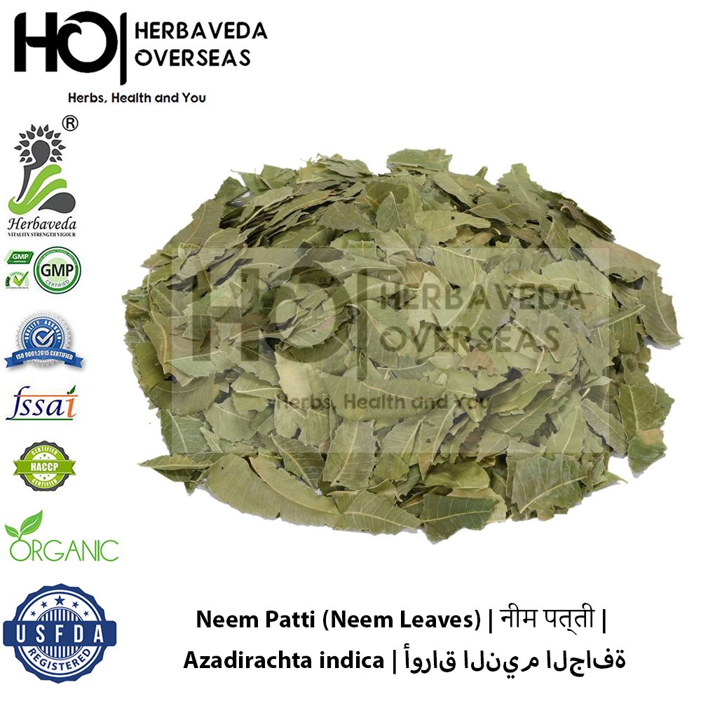 Neem Patti (Neem Leaves) | नीम पत्ती | Azadirachta indica