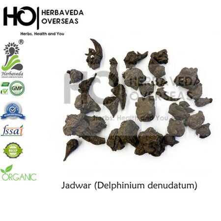 Nirmasi Root |Nirbasi  (Jadwar / Delphinium) | निर्बास कंठ | Delphinium denudatum