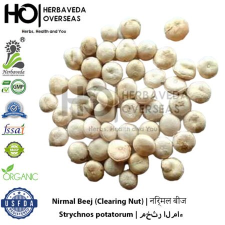 Nirmal Beej (Clearing Nut) | निर्मल बीज | Strychnos potatorum