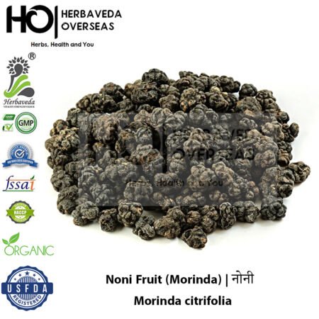 Noni Fruit (Morinda) | नोनी | Morinda citrifolia