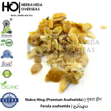 Nukra Hing (Premium Asafoetida) | नुकरा हींग | Ferula asafoetida