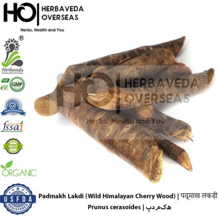Padmakh Lakdi (Wild Himalayan Cherry Wood) | पद्माख लकड़ी | Prunus cerasoides