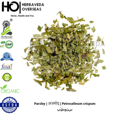 Parsley | अजमोद | Petroselinum crispum