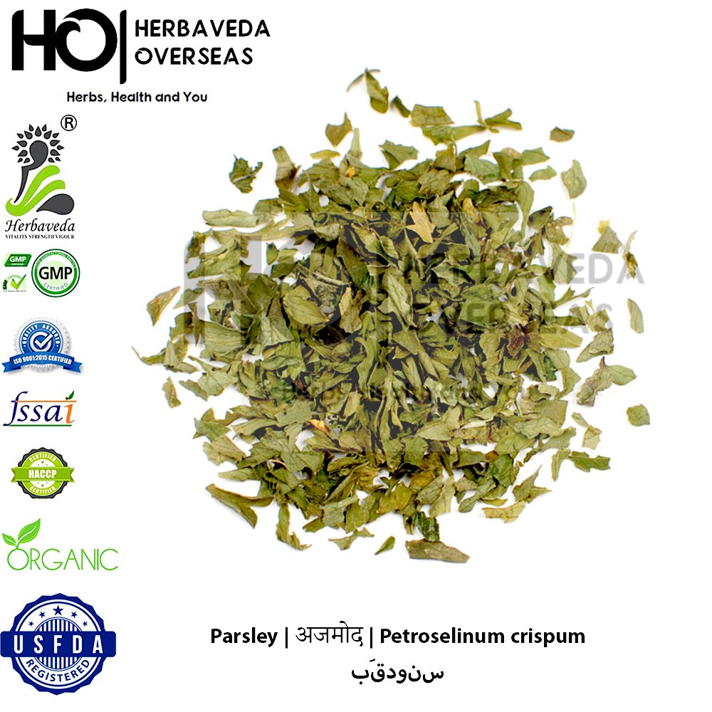 Parsley | अजमोद | Petroselinum crispum