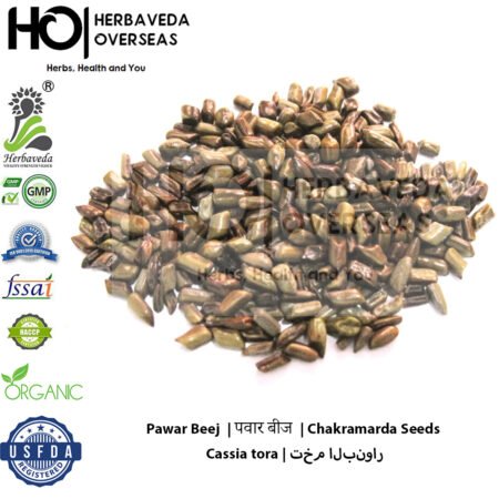 Pawar Beej (Cassia Tora Seeds) | पवार बीज | Cassia tora