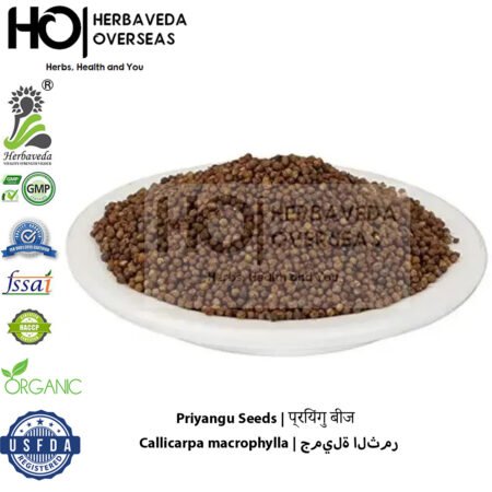 Priyangu Seeds | प्रियंगु बीज | Callicarpa macrophylla